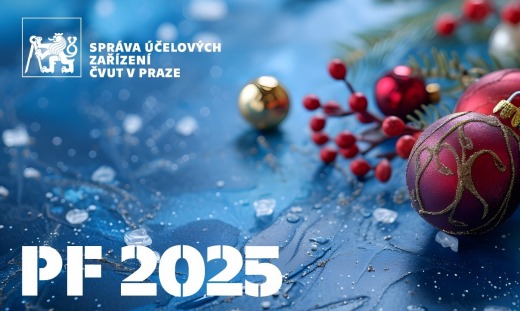 Merry Christmas and Happy New Year 2025!